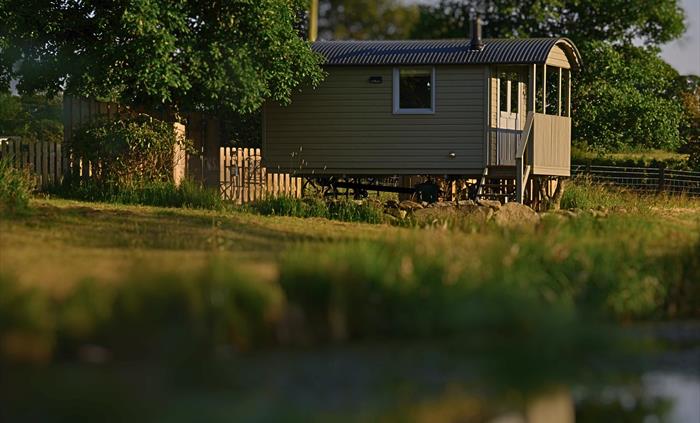 Elen - Brook Cottage Shepherd Huts